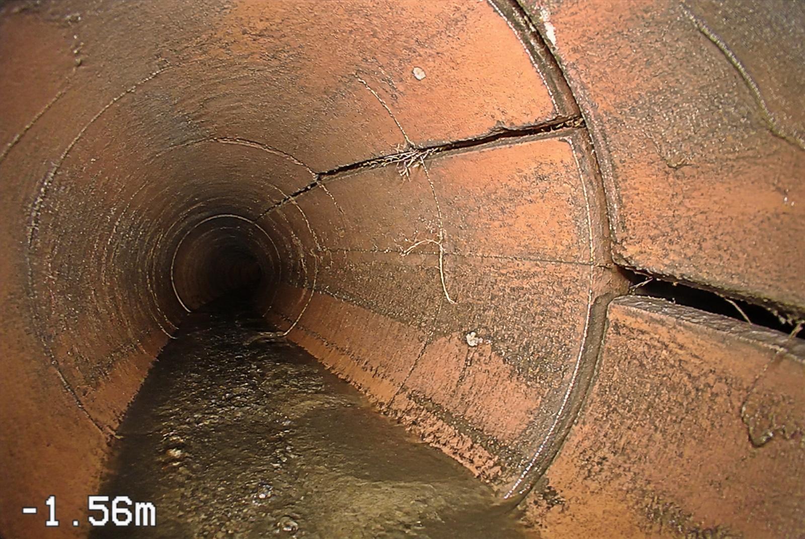 Inside of an old clay drain pipe showing a long crack and a displaced joint with fine roots entering