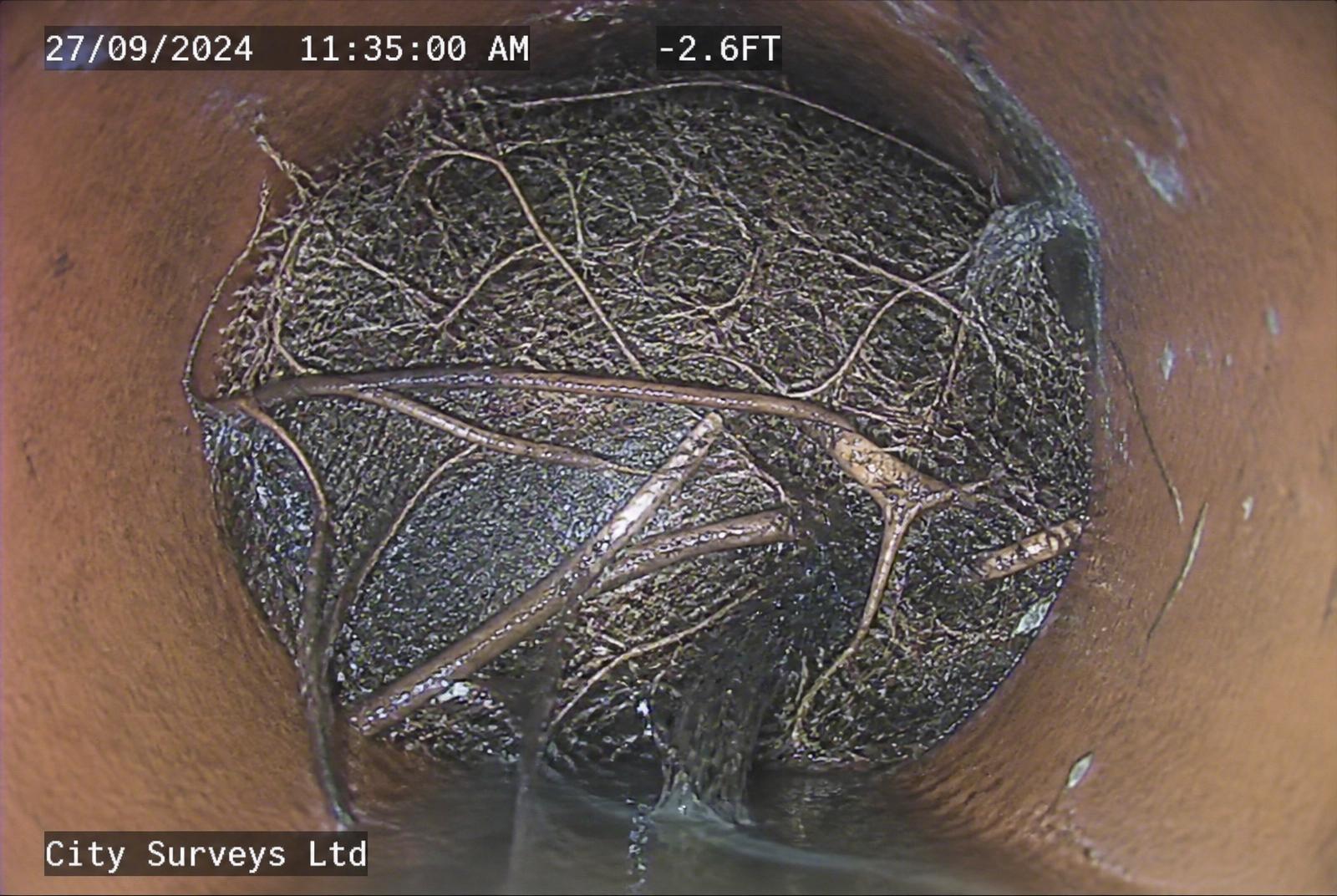 Mass of fine tree roots growing through a joint inside a clay drainage pipe, filmed during a CCTV survey